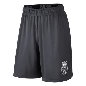 Image of PALMER MENS FLY SHORT 2.0 SPRING 2023